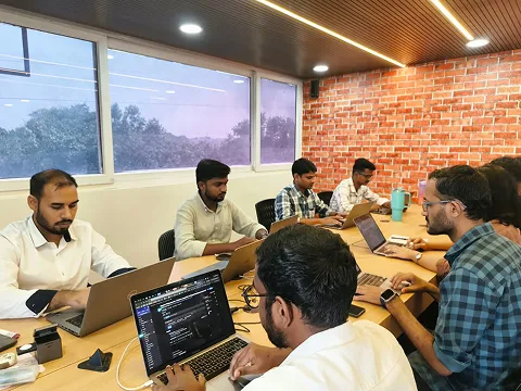 ImmensoTech software development team working together on web and application projects